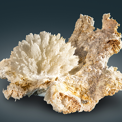 Palygorskite
