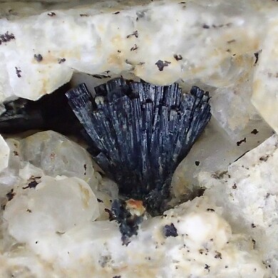 Papikeite