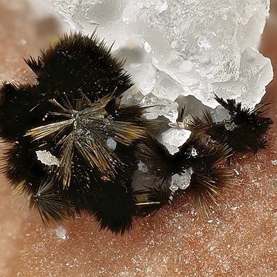 Rankachite