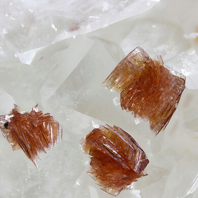 Rappoldite
