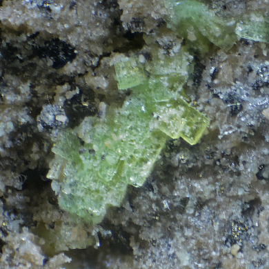 Rauchite