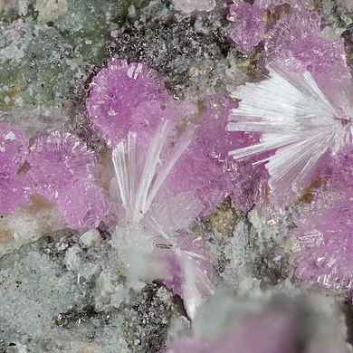 Sainfeldite