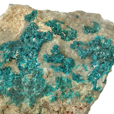 Salesite