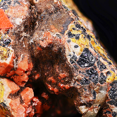 Samfowlerite