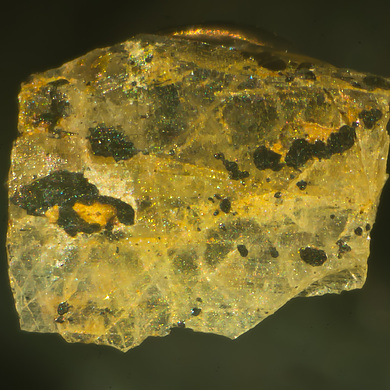 Samuelsonite