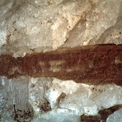 Tadzhikite-(Ce)