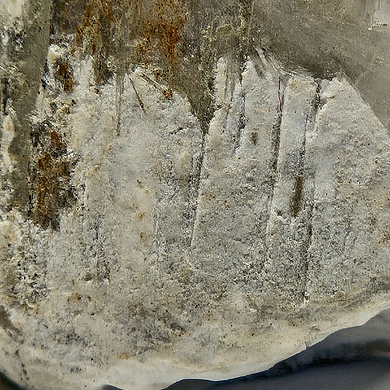 Ulexite