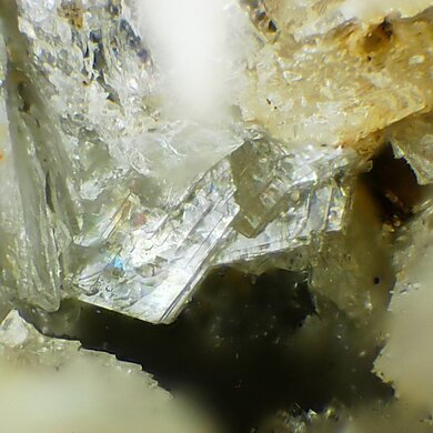 Umbite