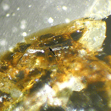 Umbrianite