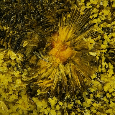 Urancalcarite