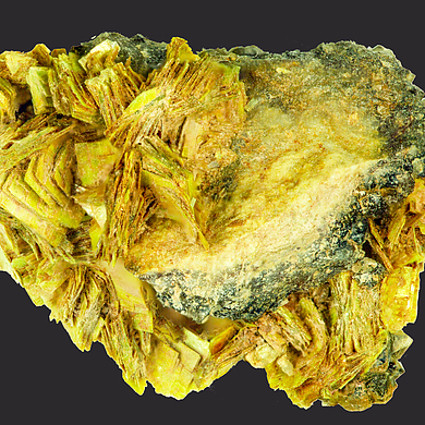 Uranocircite