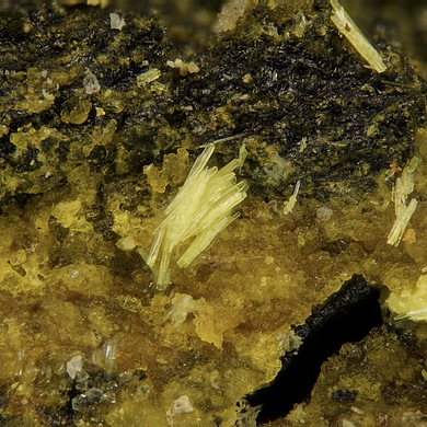 Uranopilite
