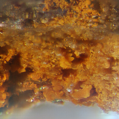 Uranotungstite