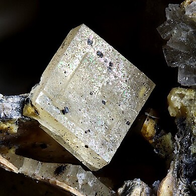 Åkermanite